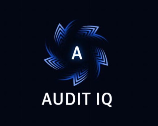 logo-audit-iq-stafim-tunisie