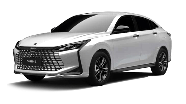 shine-dongfeng-prix-maison