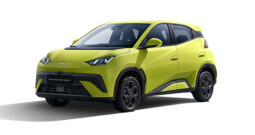 BYD Dolphin Surf (2 finitions)