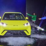 dolphin-surf-byd-tunisie